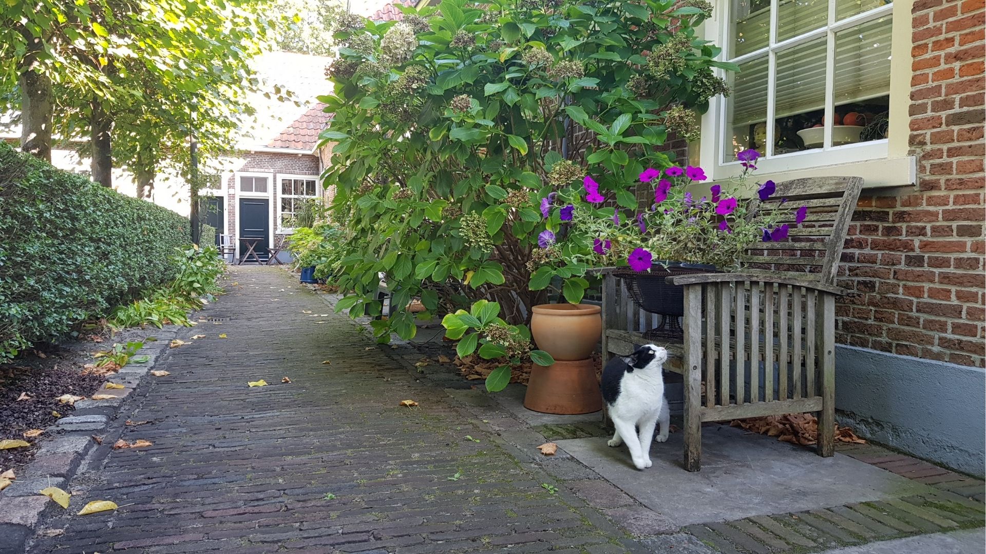 Klaeuwshofje in Delft